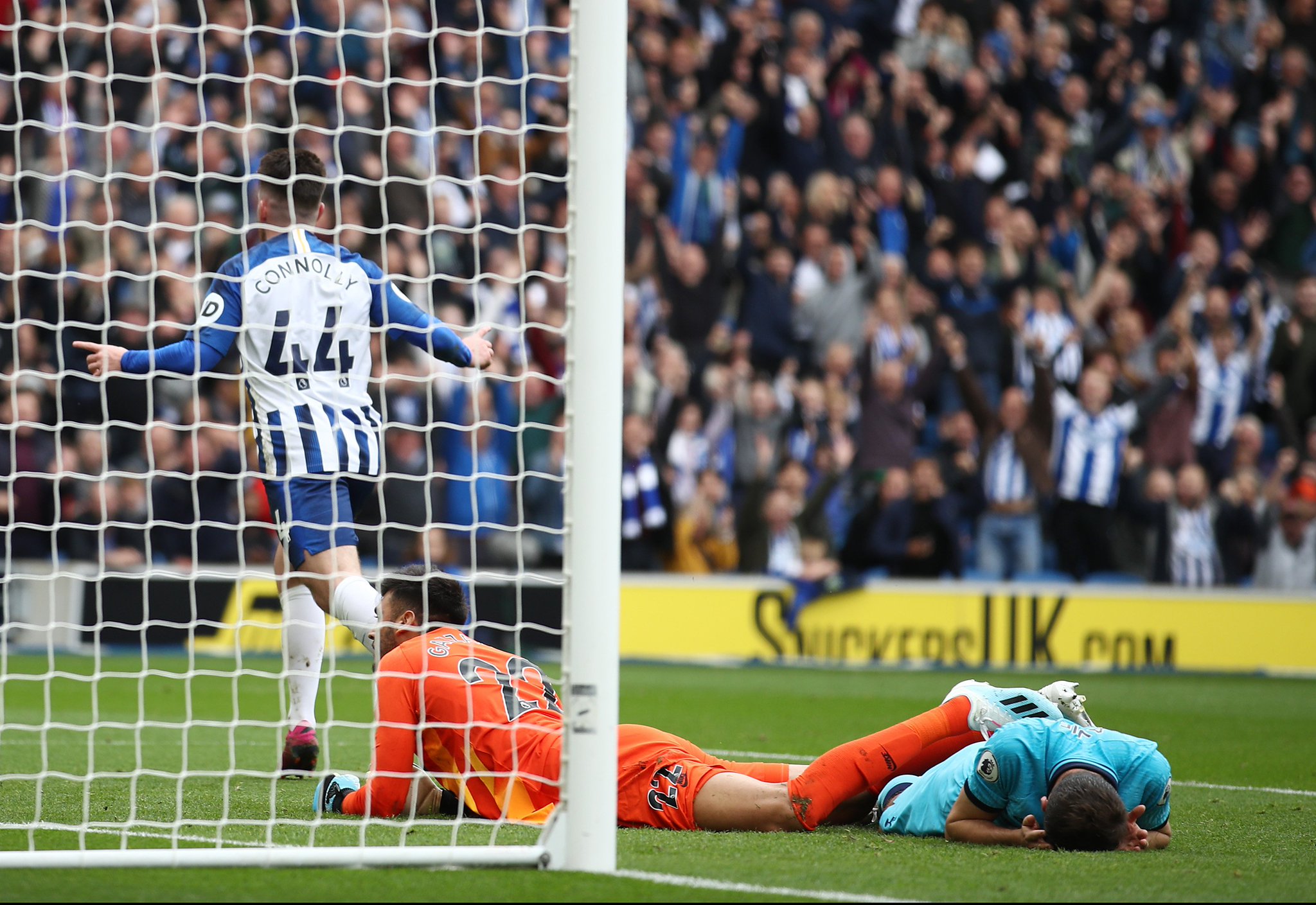 它不仅改变 它不仅改变