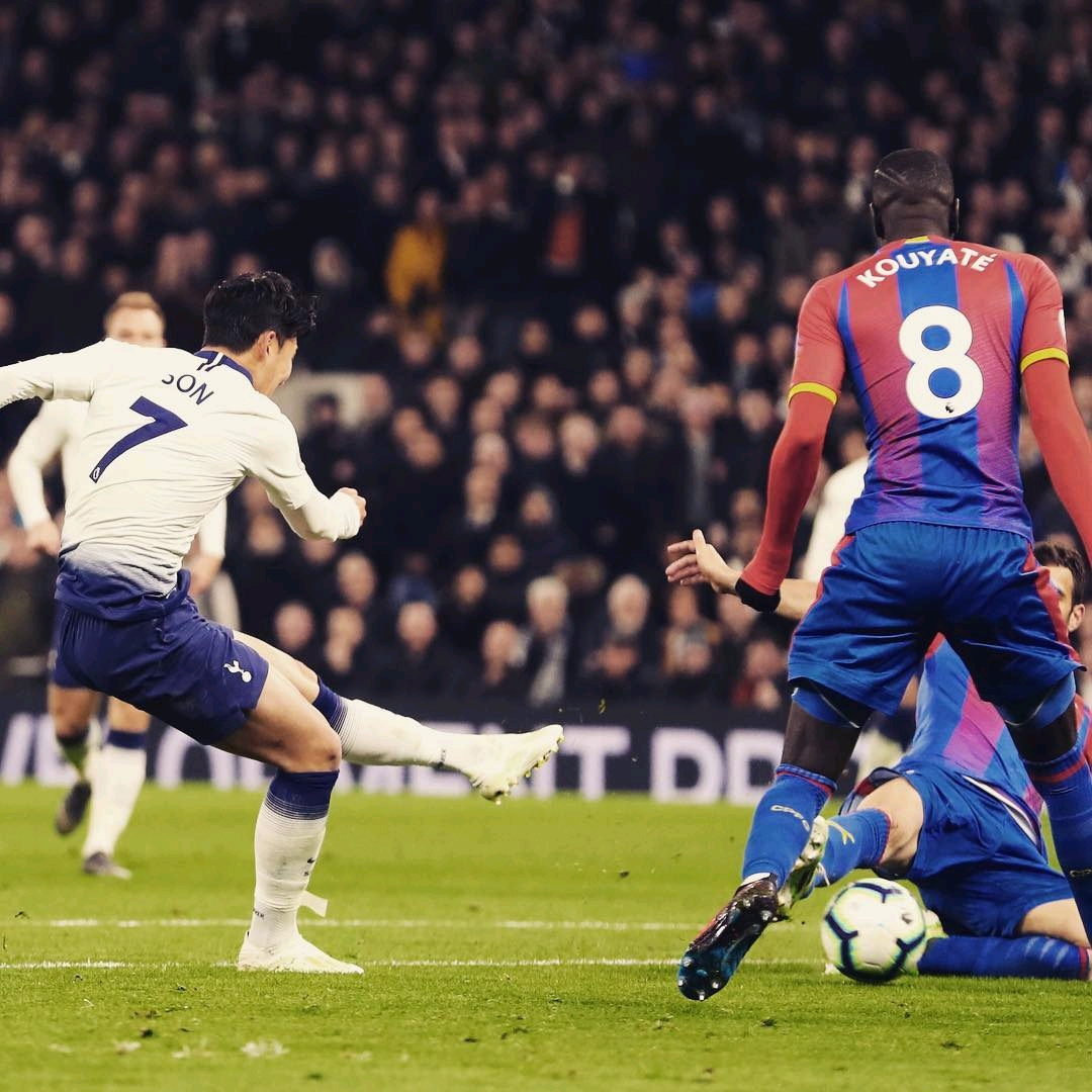 的球员阵容 的球员阵容